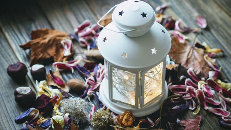A white lantern surrounded by dried flowers and leaves