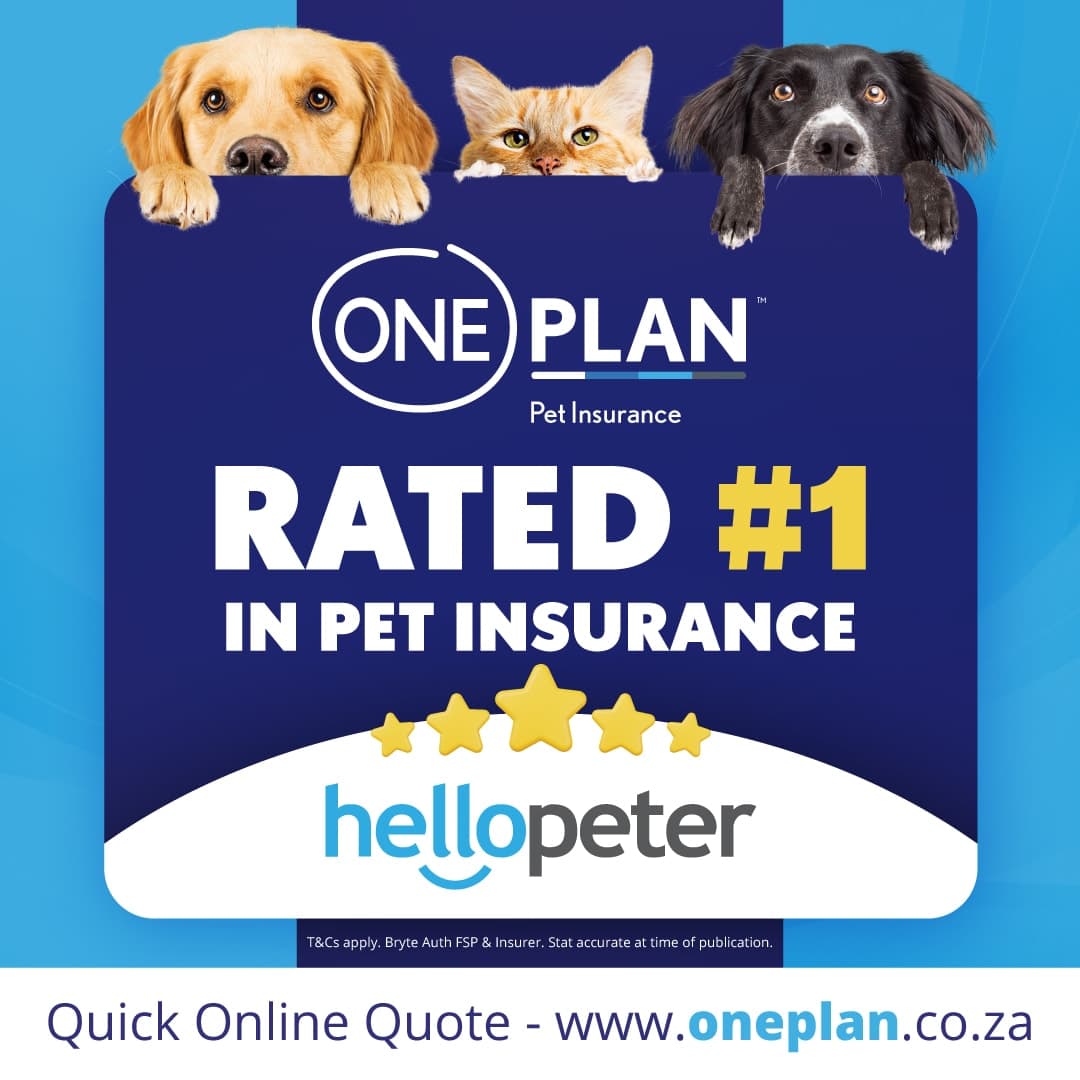 A dog and a cat sitting behind a sign that says one plan