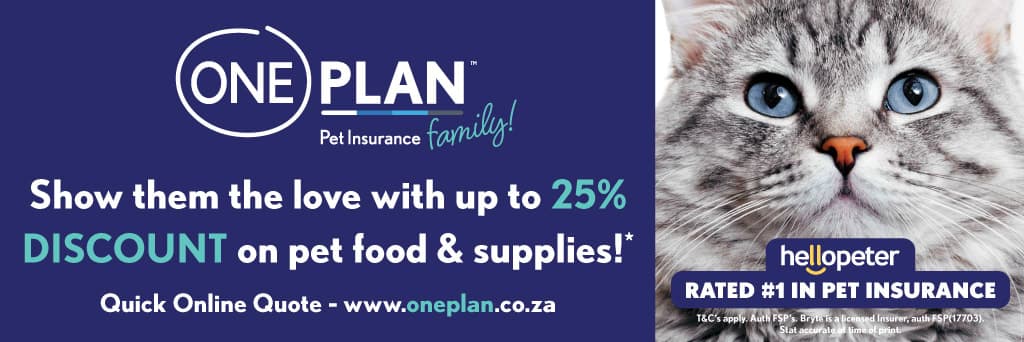 A cat with blue eyes and a caption that reads, oneplan