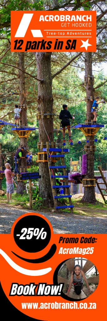 A flyer for a tree climbing course in the woods