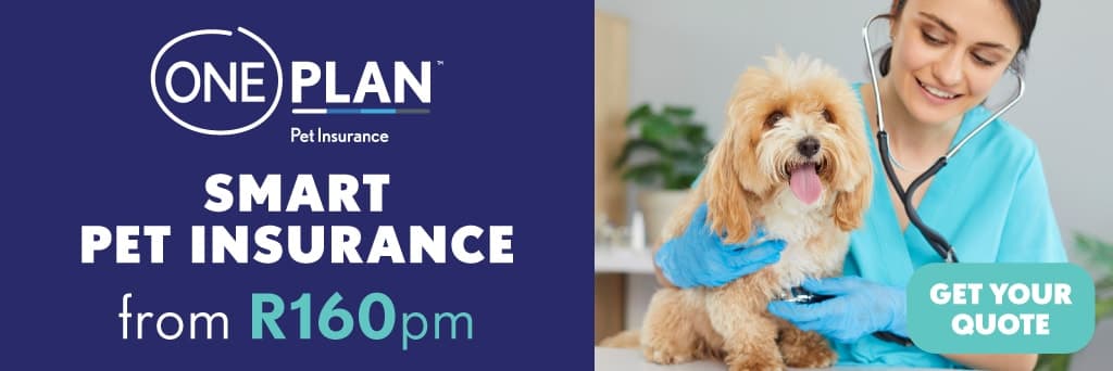 A woman with a stethoscope is petting a dog