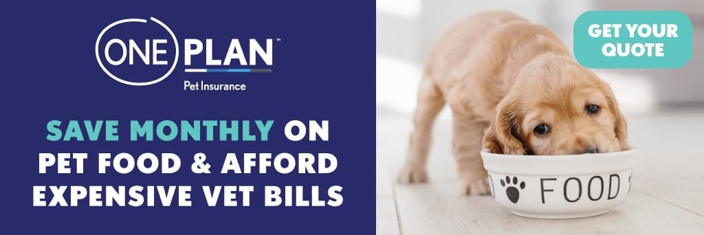 A dog eating out of a bowl with the words save month on pet food and