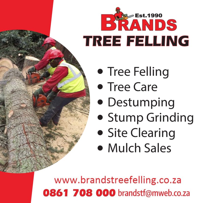 A man cutting a tree with a chainsaw